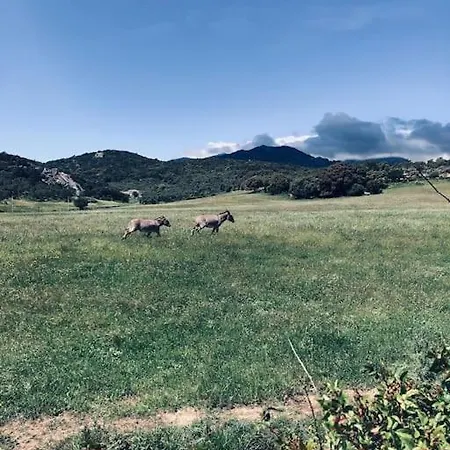 Vecchio Vue Montagne A 10 Mn Des + Belles Plages *